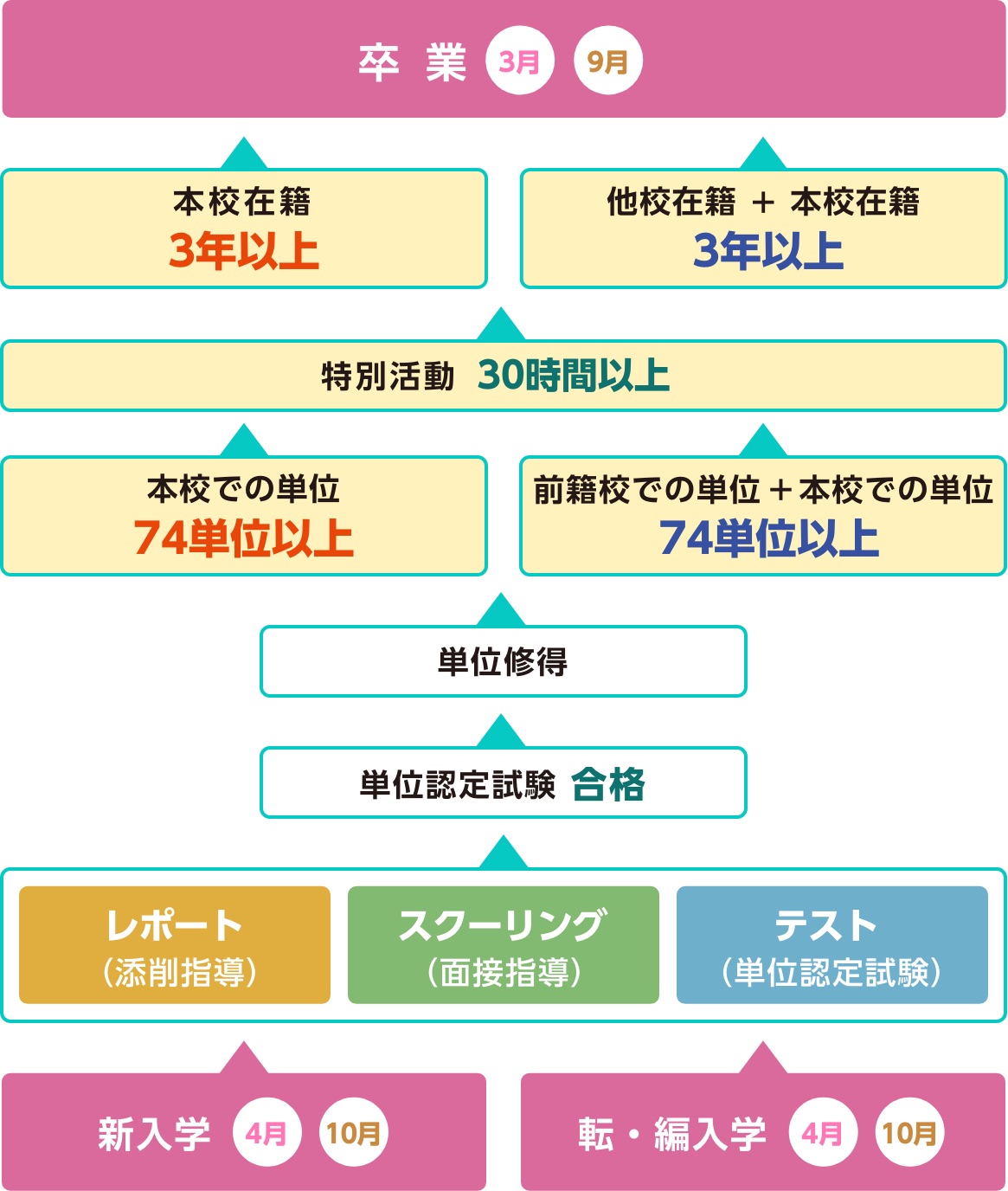 入学から卒業まで図